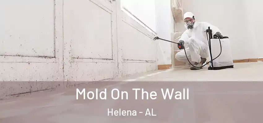 Mold On The Wall Helena - AL