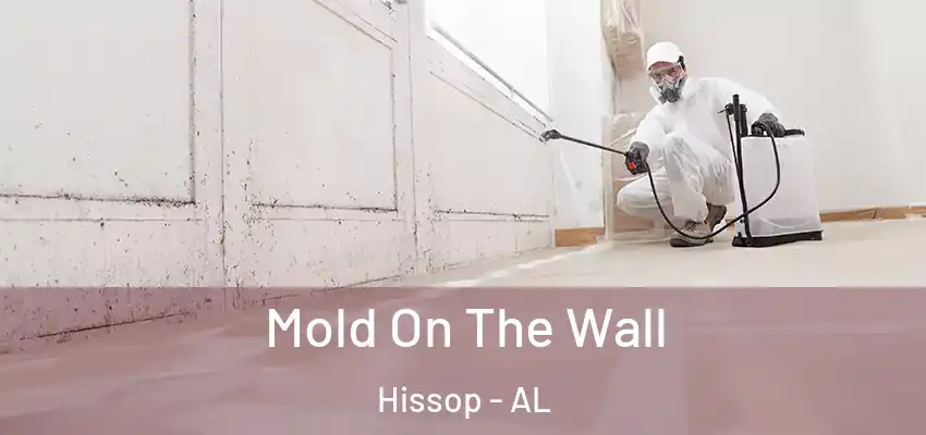 Mold On The Wall Hissop - AL