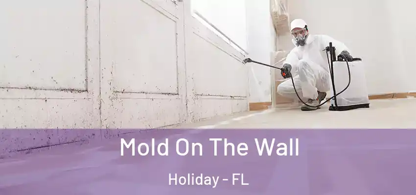 Mold On The Wall Holiday - FL