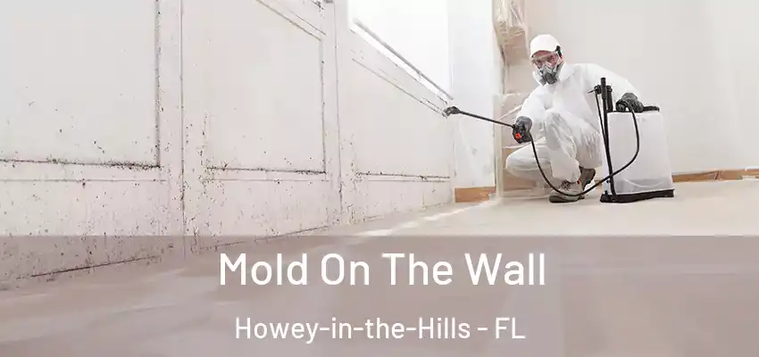  Mold On The Wall Howey-in-the-Hills - FL