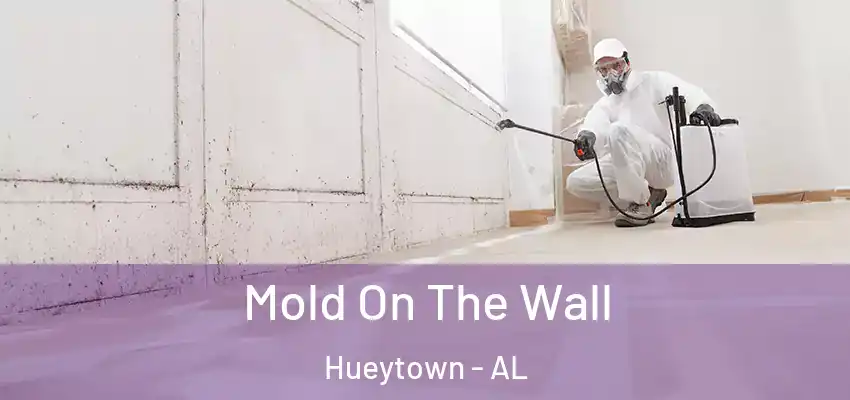Mold On The Wall Hueytown - AL