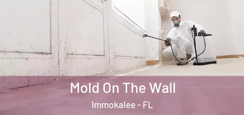 Mold On The Wall Immokalee - FL