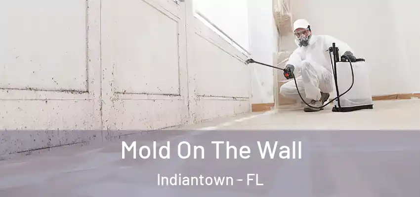 Mold On The Wall Indiantown - FL