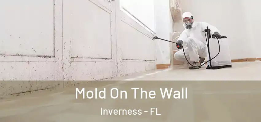  Mold On The Wall Inverness - FL