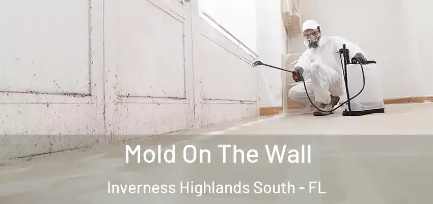 Mold On The Wall Inverness Highlands South - FL