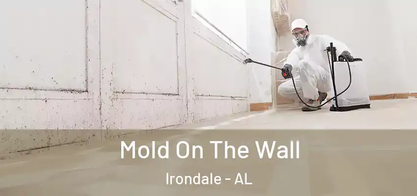 Mold On The Wall Irondale - AL