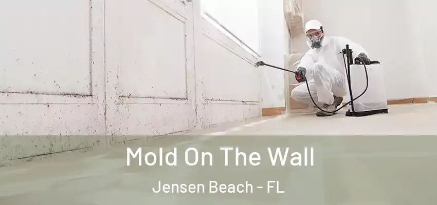 Mold On The Wall Jensen Beach - FL