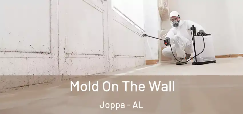 Mold On The Wall Joppa - AL