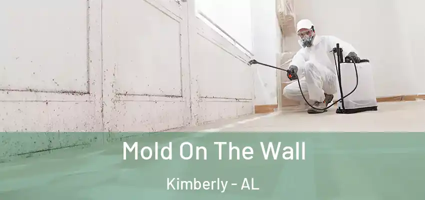  Mold On The Wall Kimberly - AL