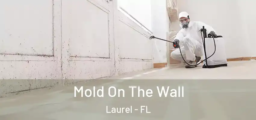 Mold On The Wall Laurel - FL