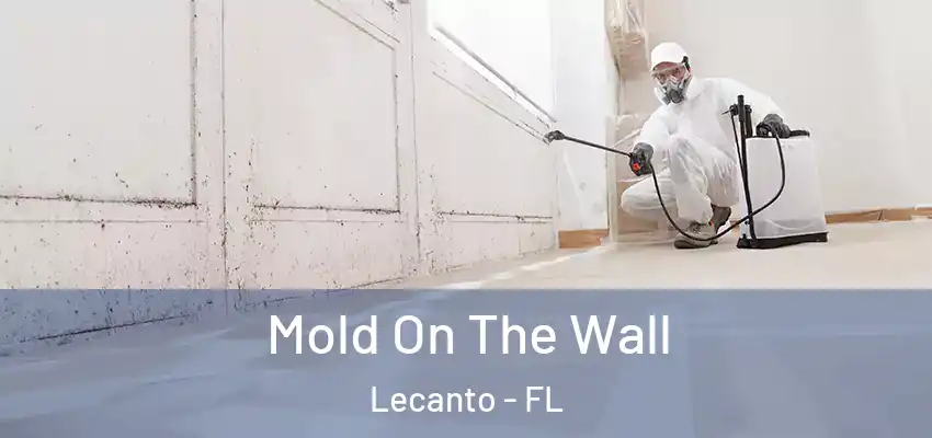  Mold On The Wall Lecanto - FL
