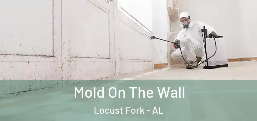 Mold On The Wall Locust Fork - AL