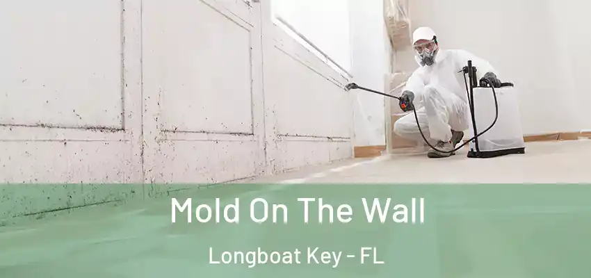 Mold On The Wall Longboat Key - FL
