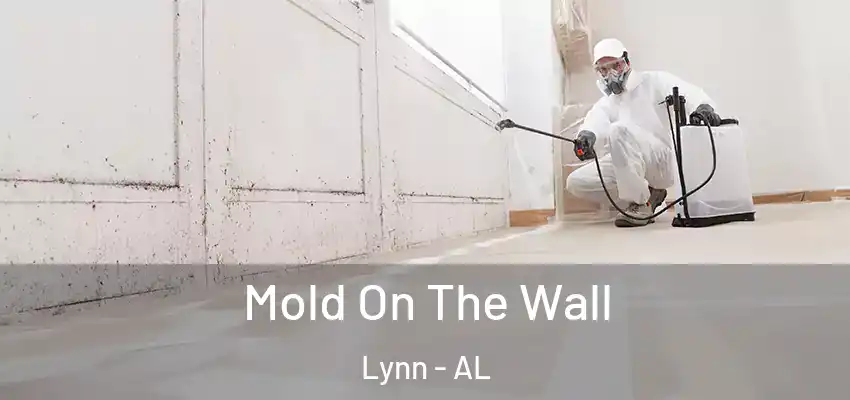  Mold On The Wall Lynn - AL