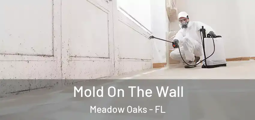  Mold On The Wall Meadow Oaks - FL