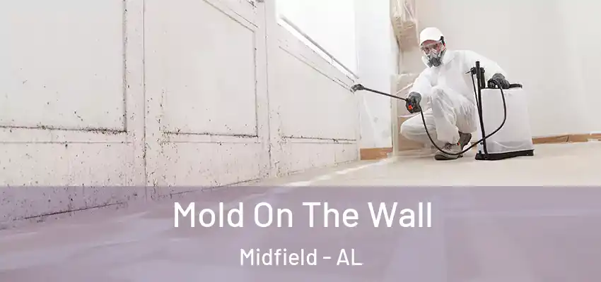 Mold On The Wall Midfield - AL