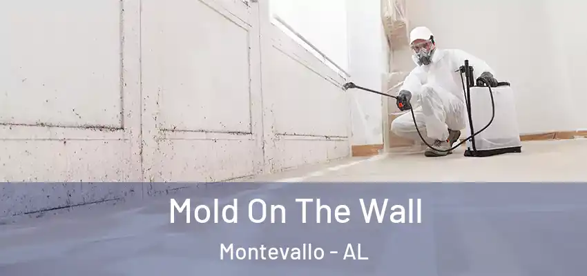 Mold On The Wall Montevallo - AL
