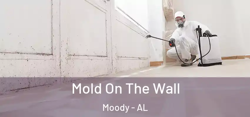  Mold On The Wall Moody - AL
