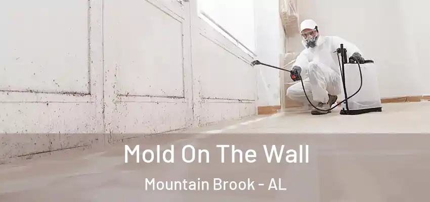 Mold On The Wall Mountain Brook - AL