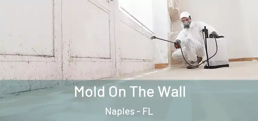 Mold On The Wall Naples - FL