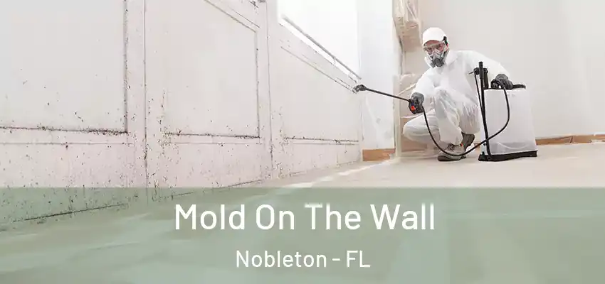 Mold On The Wall Nobleton - FL