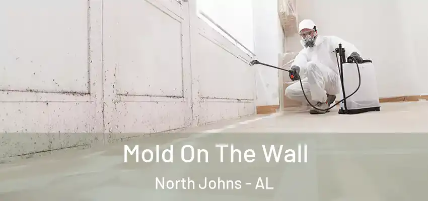 Mold On The Wall North Johns - AL