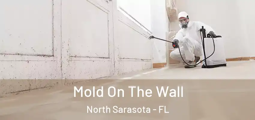  Mold On The Wall North Sarasota - FL