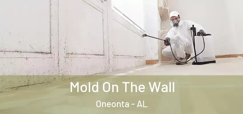 Mold On The Wall Oneonta - AL