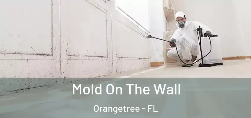  Mold On The Wall Orangetree - FL