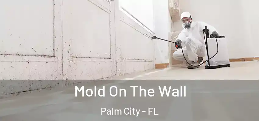  Mold On The Wall Palm City - FL