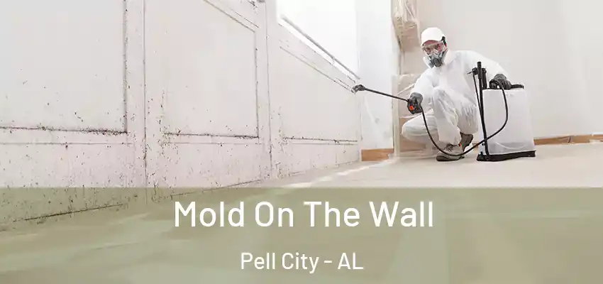 Mold On The Wall Pell City - AL