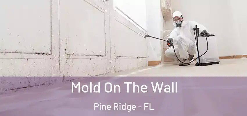 Mold On The Wall Pine Ridge - FL