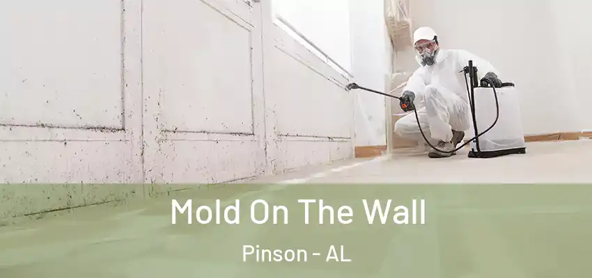 Mold On The Wall Pinson - AL