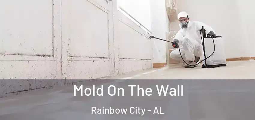  Mold On The Wall Rainbow City - AL