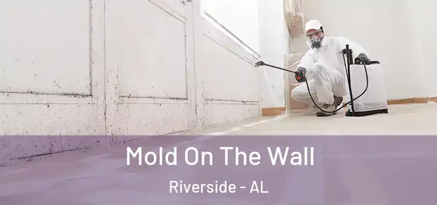 Mold On The Wall Riverside - AL
