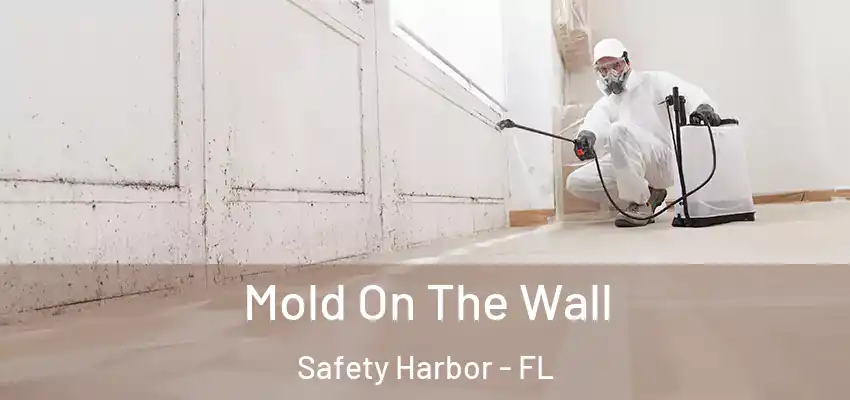 Mold On The Wall Safety Harbor - FL
