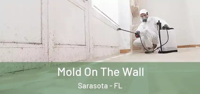  Mold On The Wall Sarasota - FL