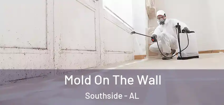  Mold On The Wall Southside - AL