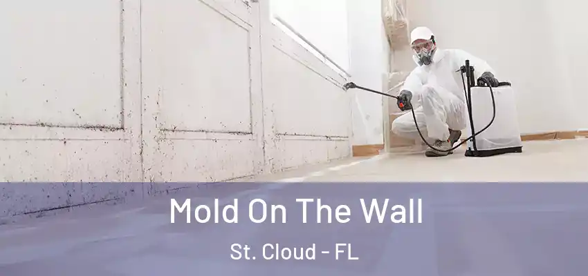 Mold On The Wall St. Cloud - FL
