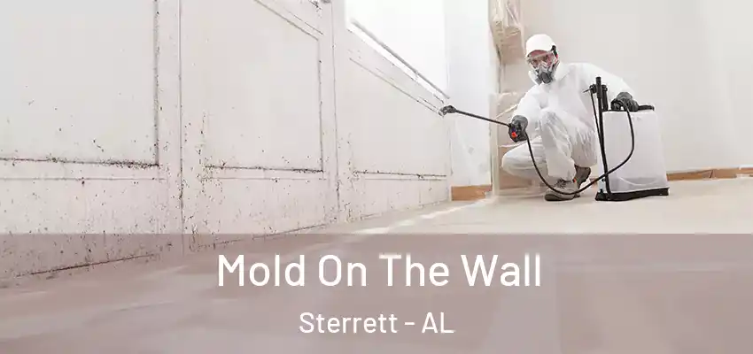  Mold On The Wall Sterrett - AL