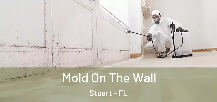  Mold On The Wall Stuart - FL