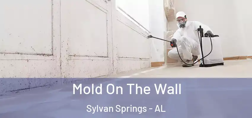  Mold On The Wall Sylvan Springs - AL