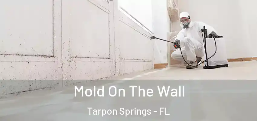  Mold On The Wall Tarpon Springs - FL