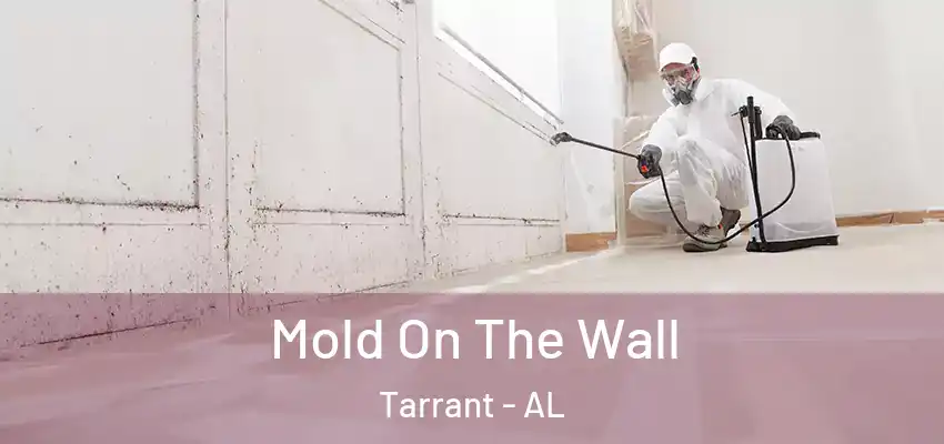  Mold On The Wall Tarrant - AL