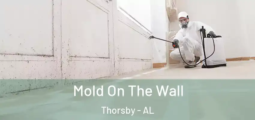 Mold On The Wall Thorsby - AL