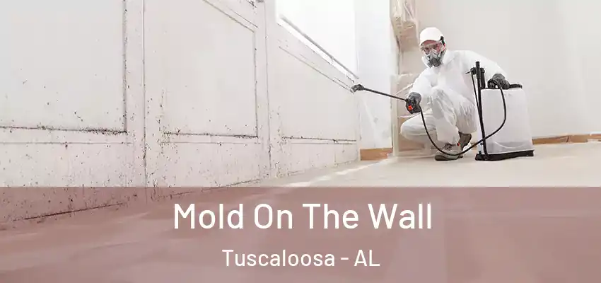  Mold On The Wall Tuscaloosa - AL