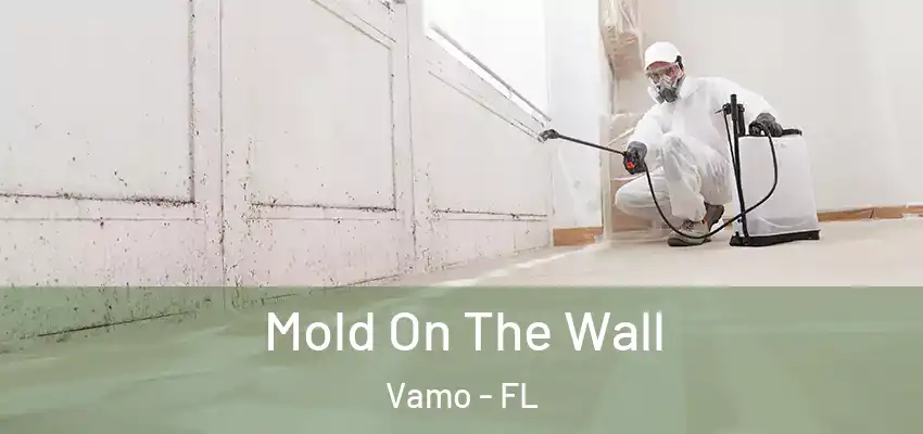 Mold On The Wall Vamo - FL