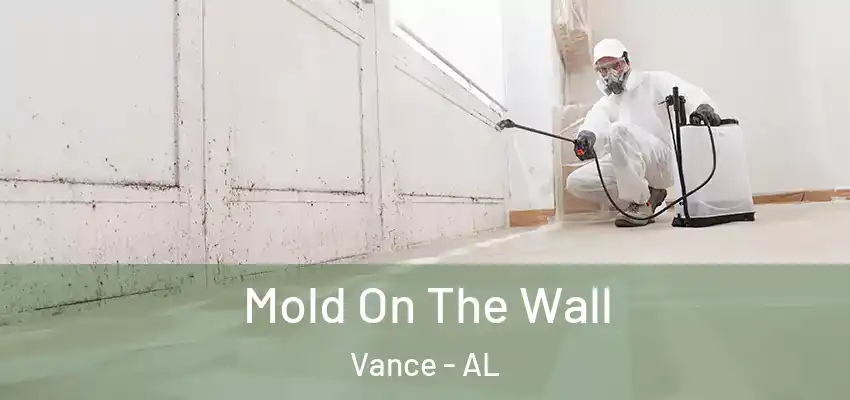 Mold On The Wall Vance - AL