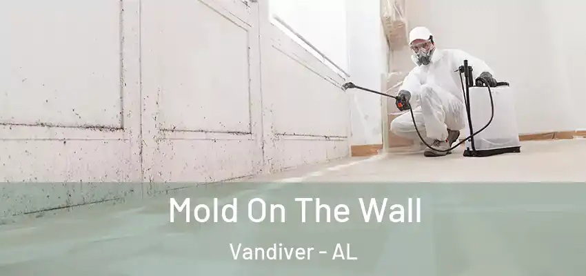 Mold On The Wall Vandiver - AL