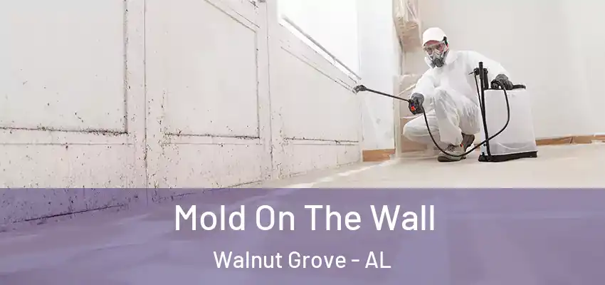 Mold On The Wall Walnut Grove - AL